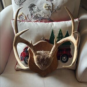 Rustic Antler Wall Decor REAL